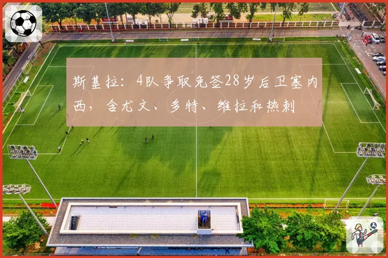 斯基拉:4队争取免签28岁后卫塞内西,含尤文、多特、维拉和热刺