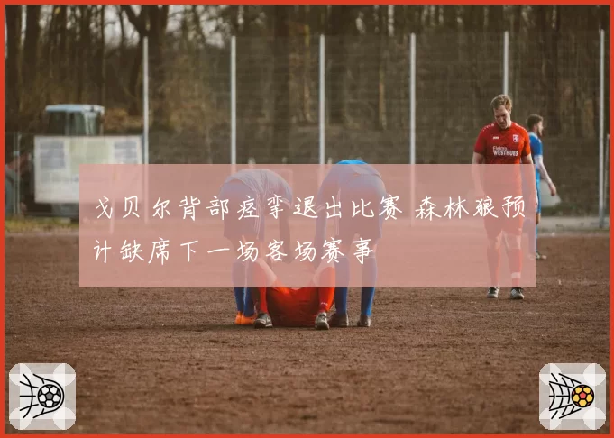 戈贝尔背部痉挛退出比赛 森林狼预计缺席下一场客场赛事