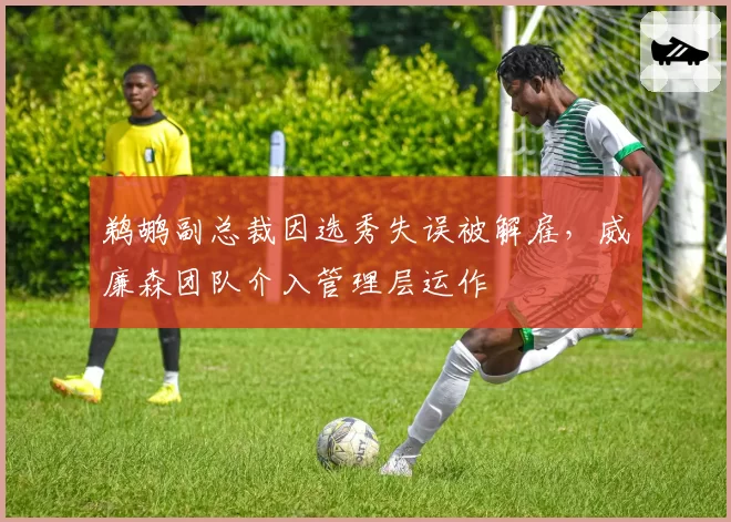 鹈鹕副总裁因选秀失误被解雇，威廉森团队介入管理层运作