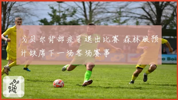 戈贝尔背部痉挛退出比赛 森林狼预计缺席下一场客场赛事